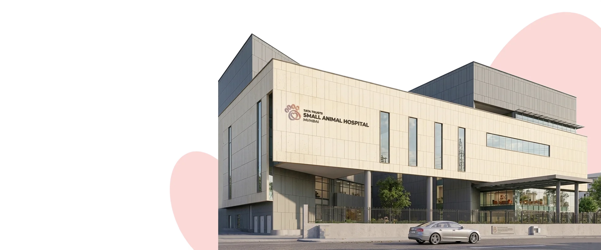 Hospital Building