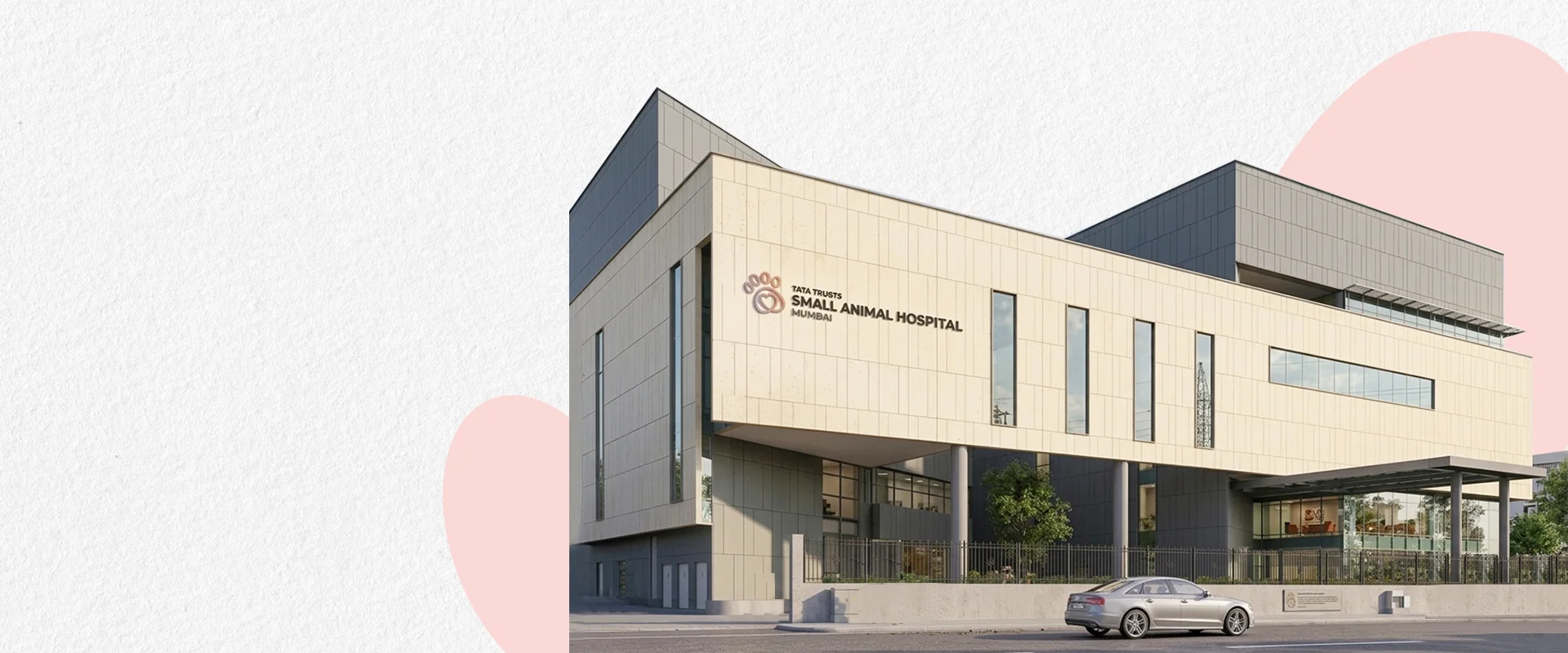 Hospital Building