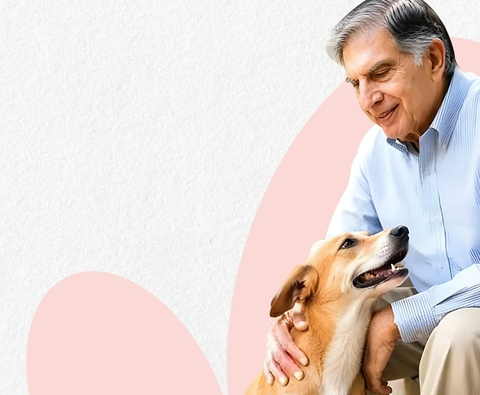Pet Care Image