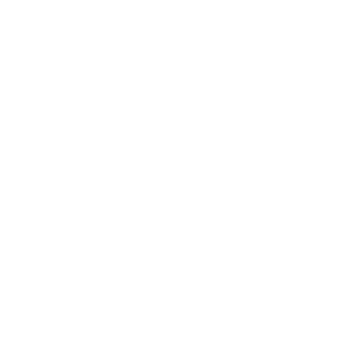 Wellness Consultations