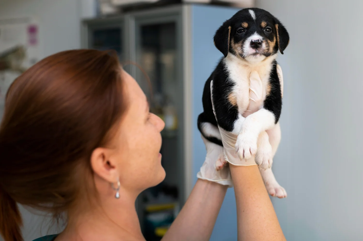 Tata Trusts opens Small Animal Hospital in Mumbai