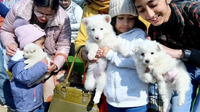 Tata Trusts to open India’s 1st state-of-the-art small animal