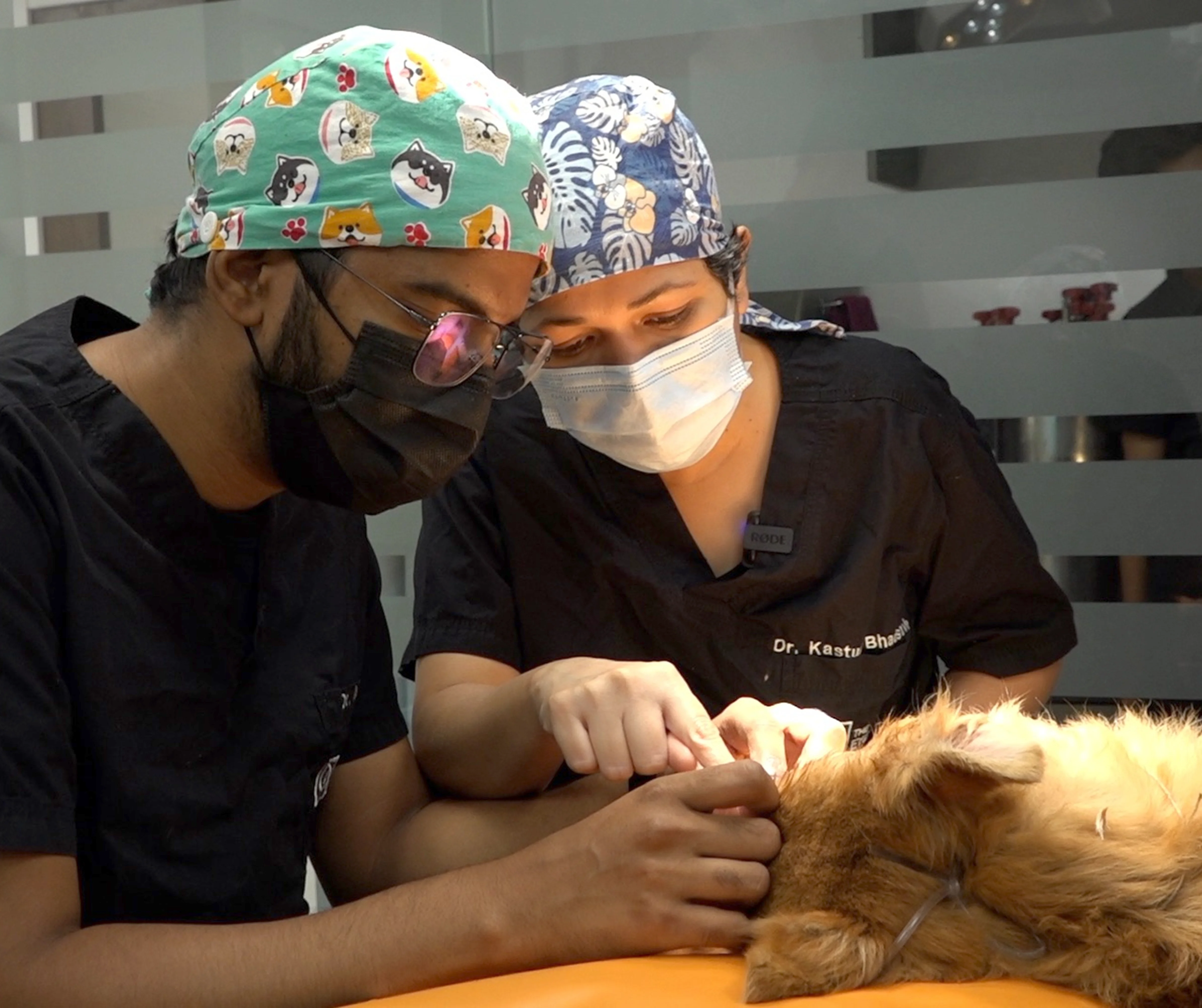 Ophthalmology