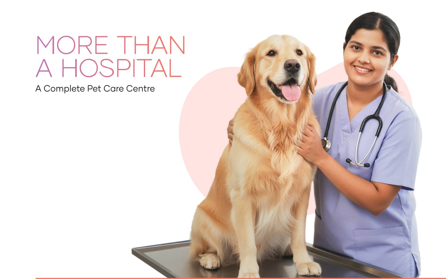 Welcome To Small Animal Hospital Mumbai Advanced Pet Care