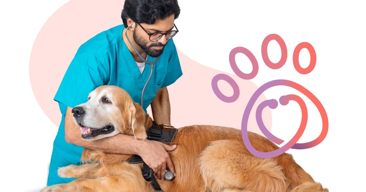 World-class infrastructure for compassionate pet care